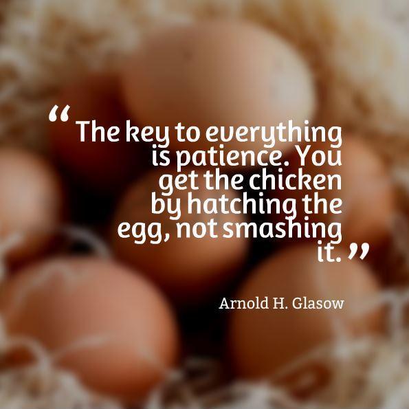 the-key-to-everything-is-patience-you-get-the-chicken-by-hatching-the-egg-not-by-smashing-it-quote-1.jpg