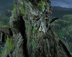 Treebeard_rohan.jpg