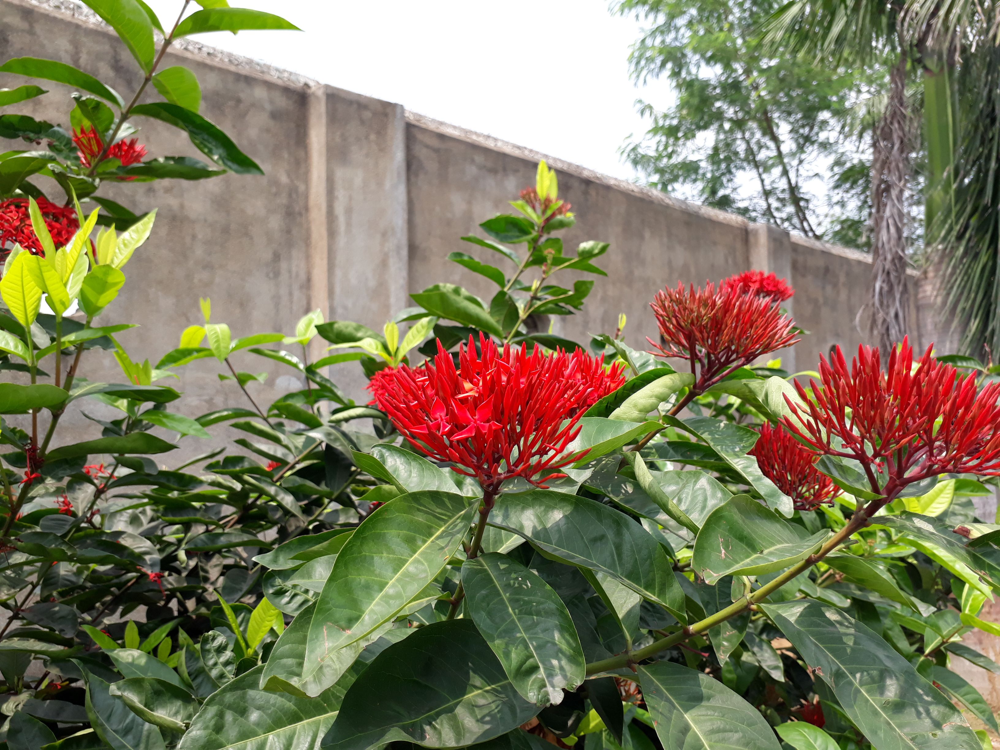 20170912_115505.jpg