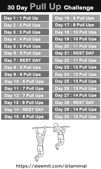 30 Day PULL UP Challenge — Steemit