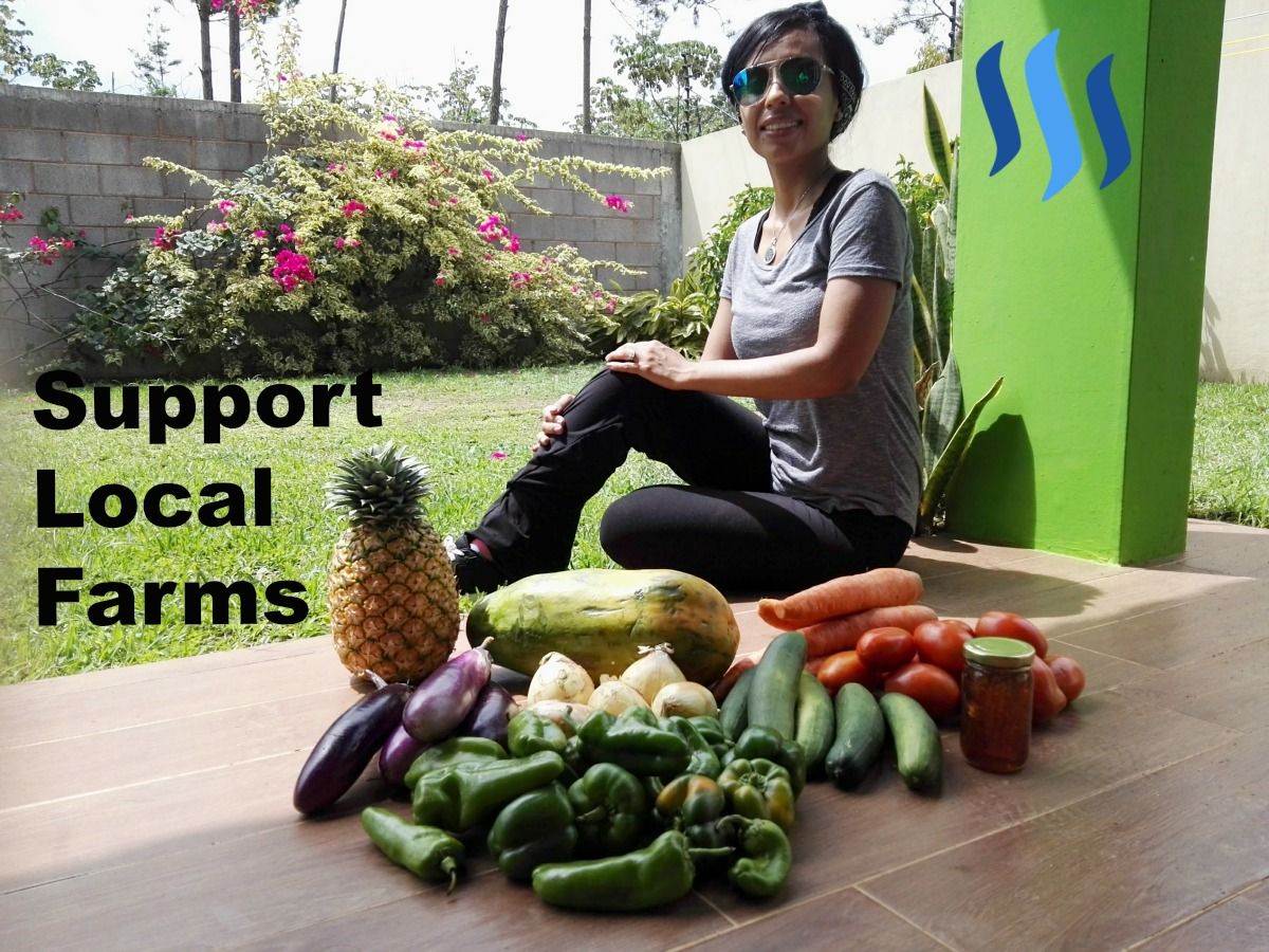 support-local-farmers-farms-panama-produce.jpg