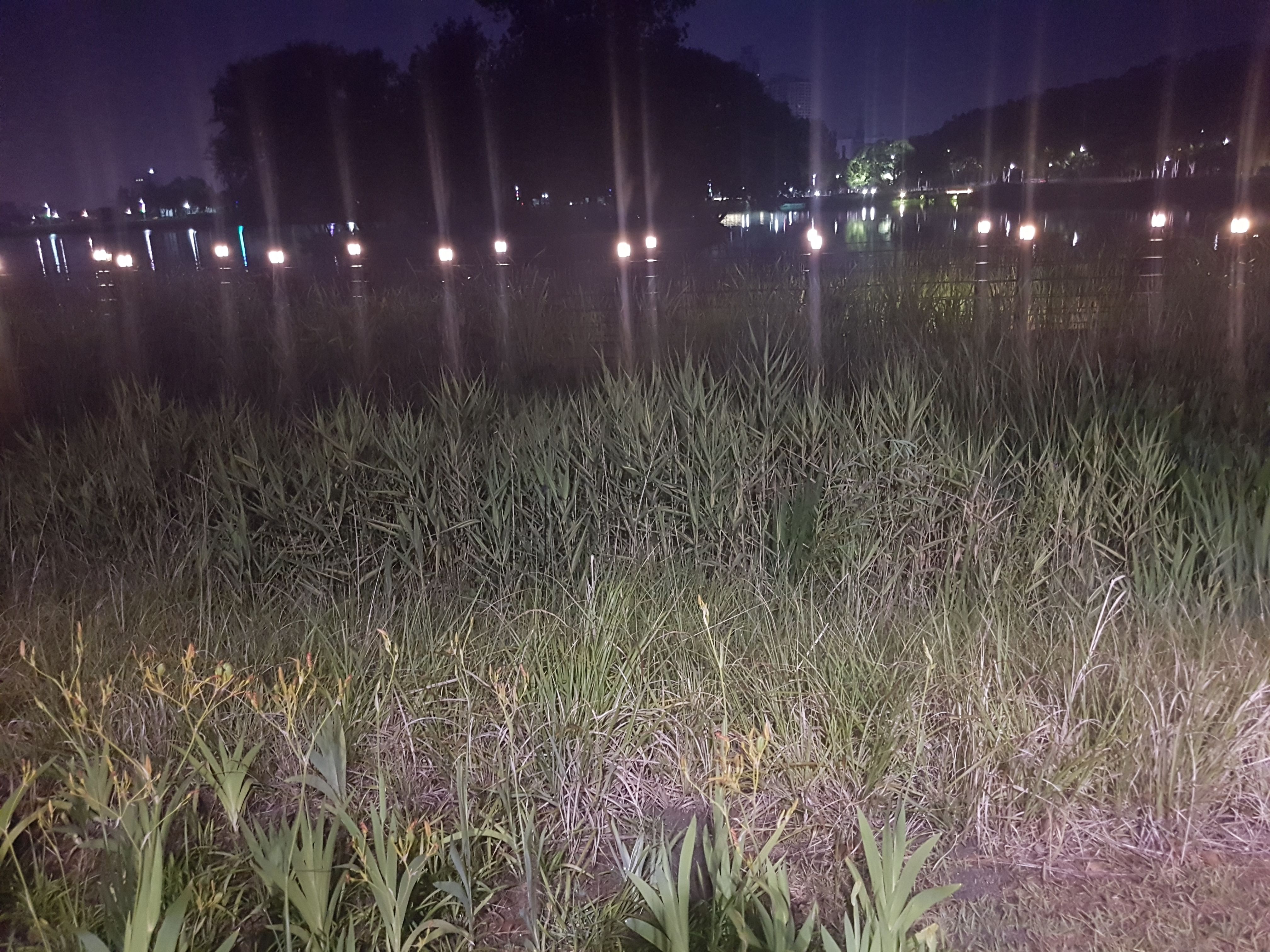 20170628_042214.jpg