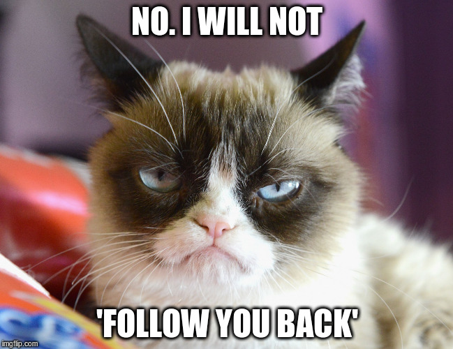 grumpy-cat-doesnt-follow-back.jpg