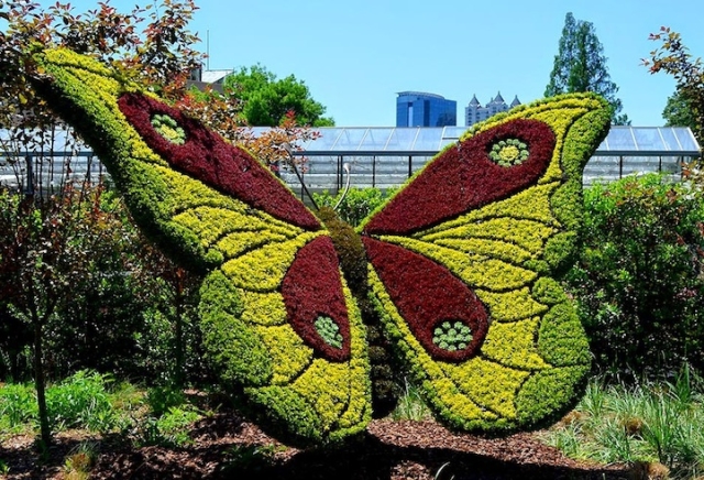 Mosaicultures-Internationales-de-Montreal-Papillon.jpg