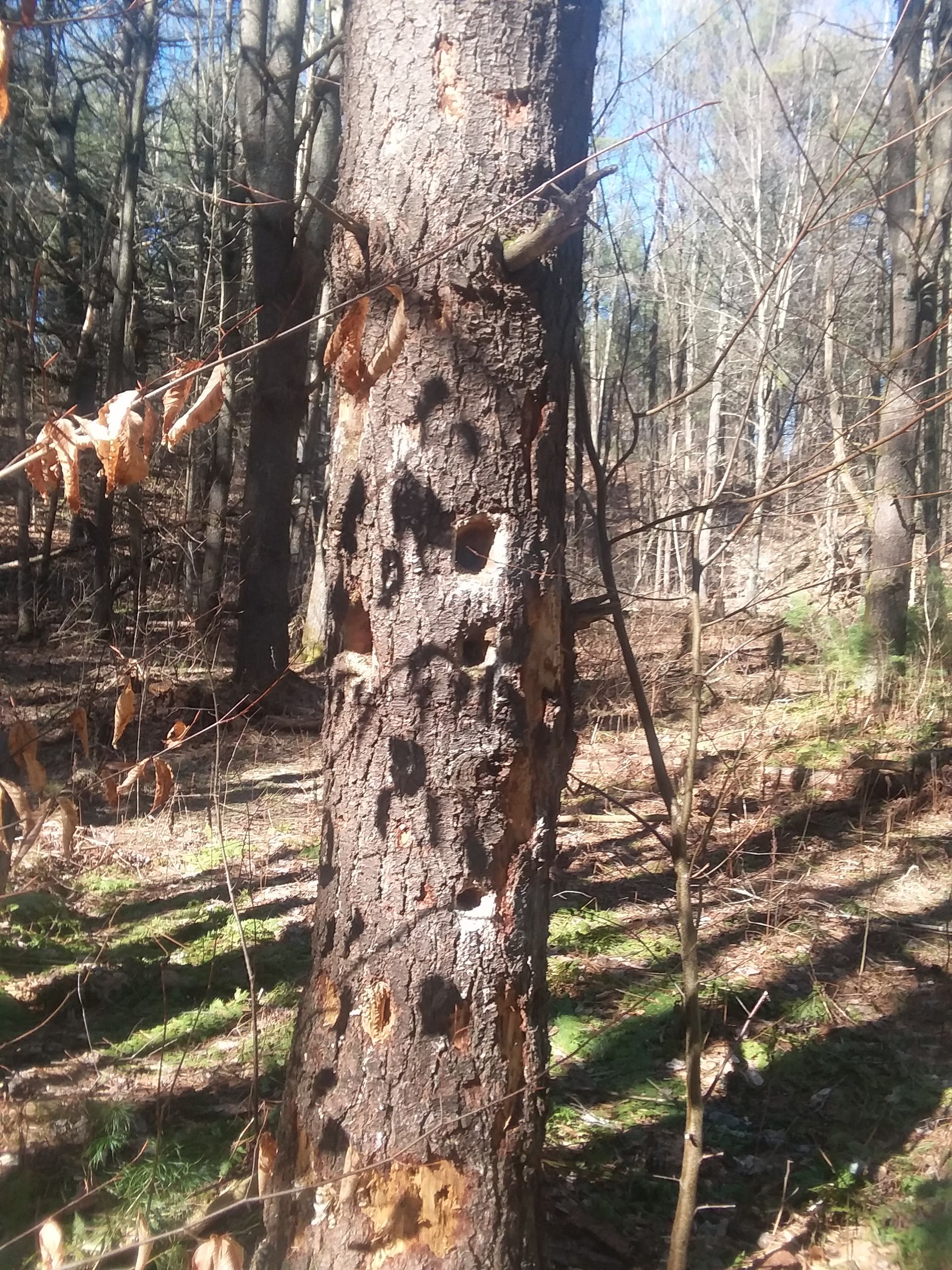 20180421_154240.jpg