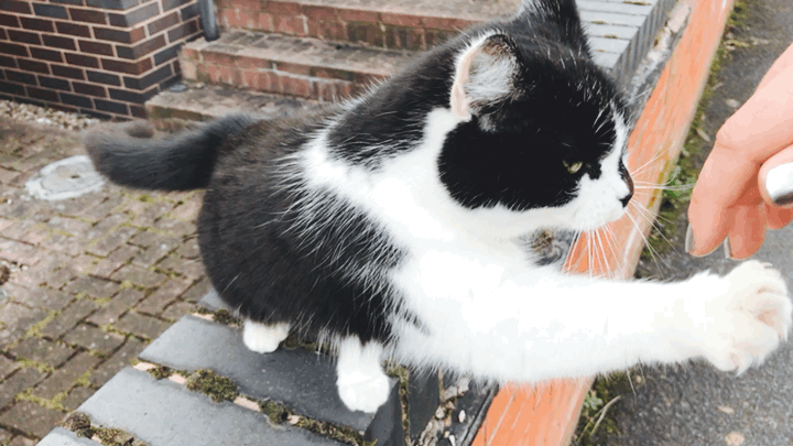 2018-03-26 14:50:50 +0000.GIF