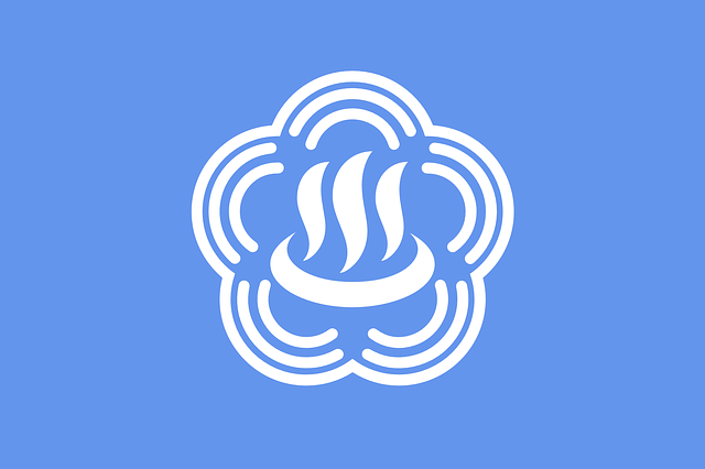 flag-sign-food-symbol-hot-spring-asia-japan.png