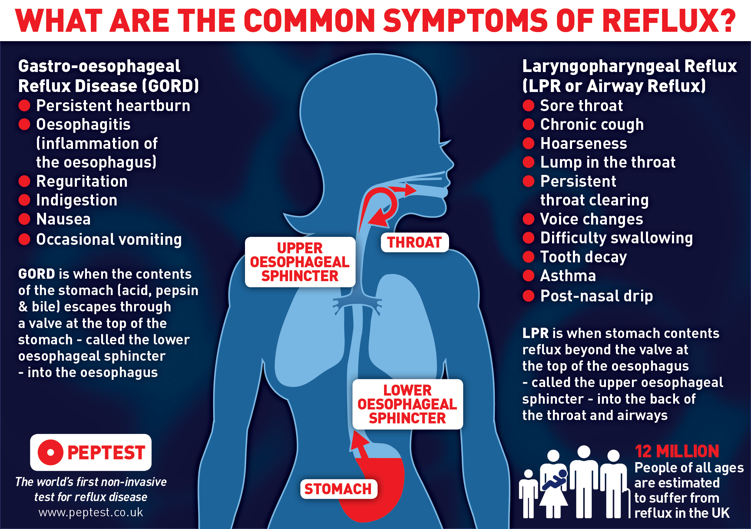 Alleviate heartburn (reflux) .