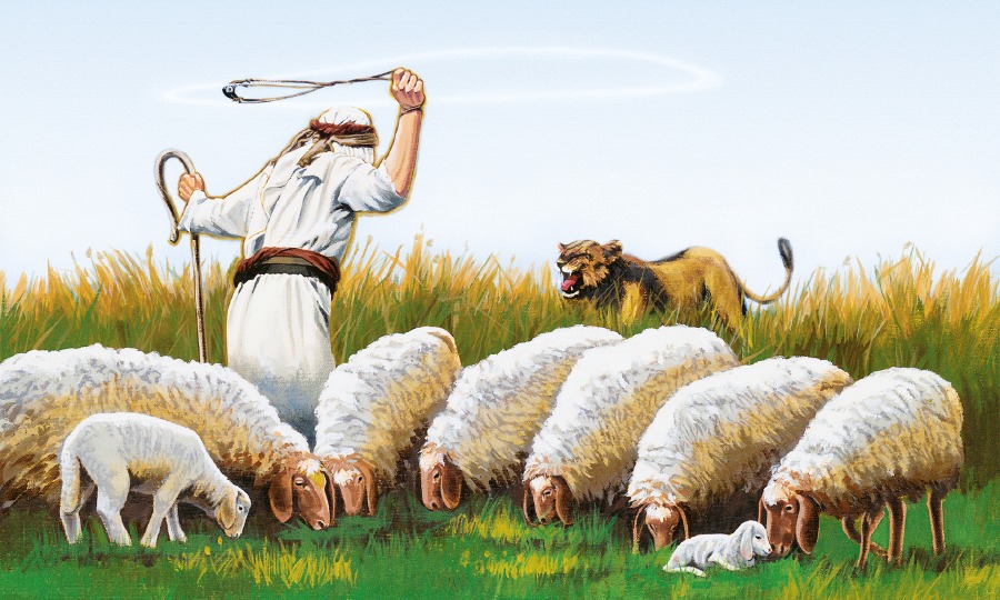 KÃ©ptalÃ¡lat a kÃ¶vetkezÅre: âShepherds sheepâ