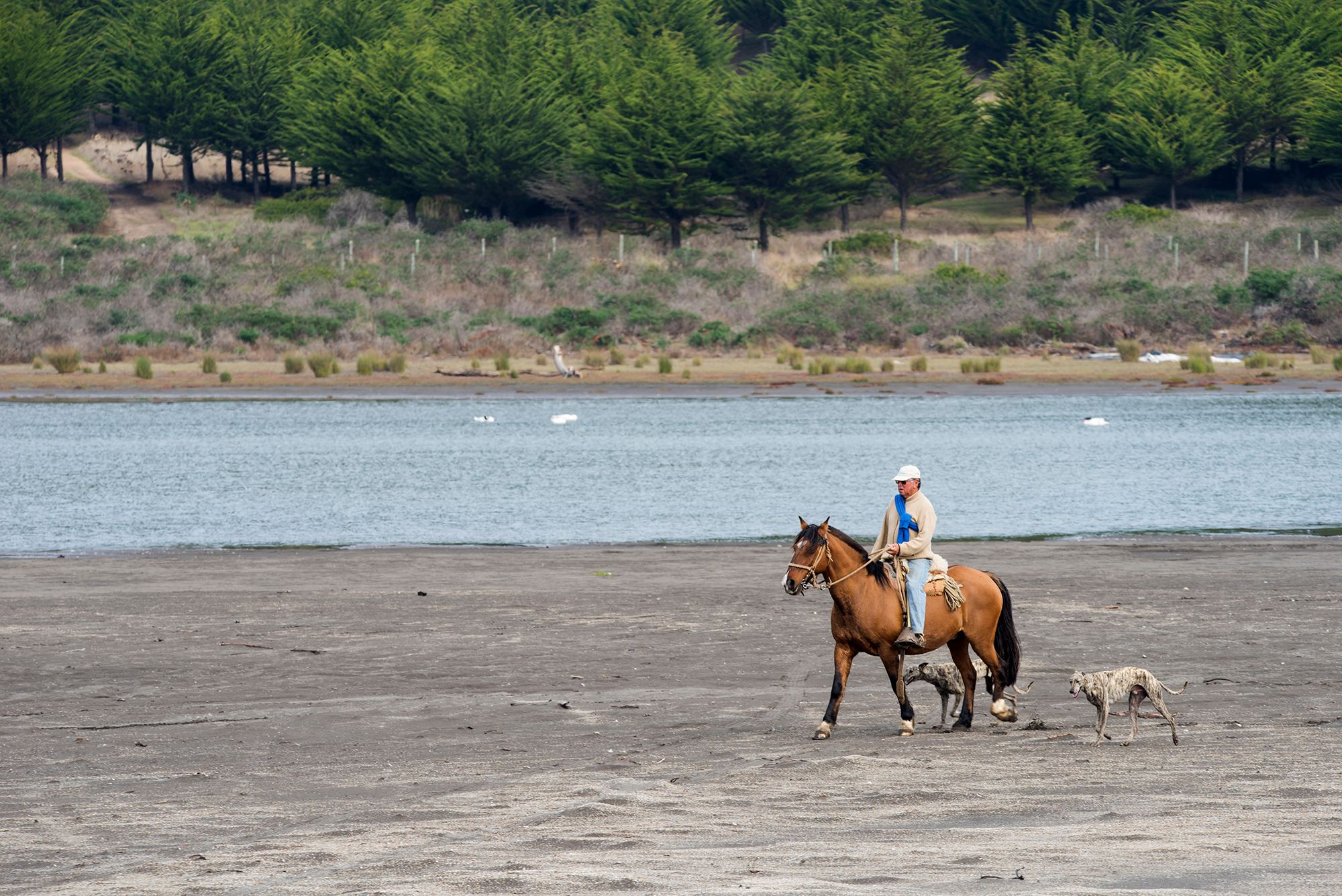 Chilean dude on horse.jpg