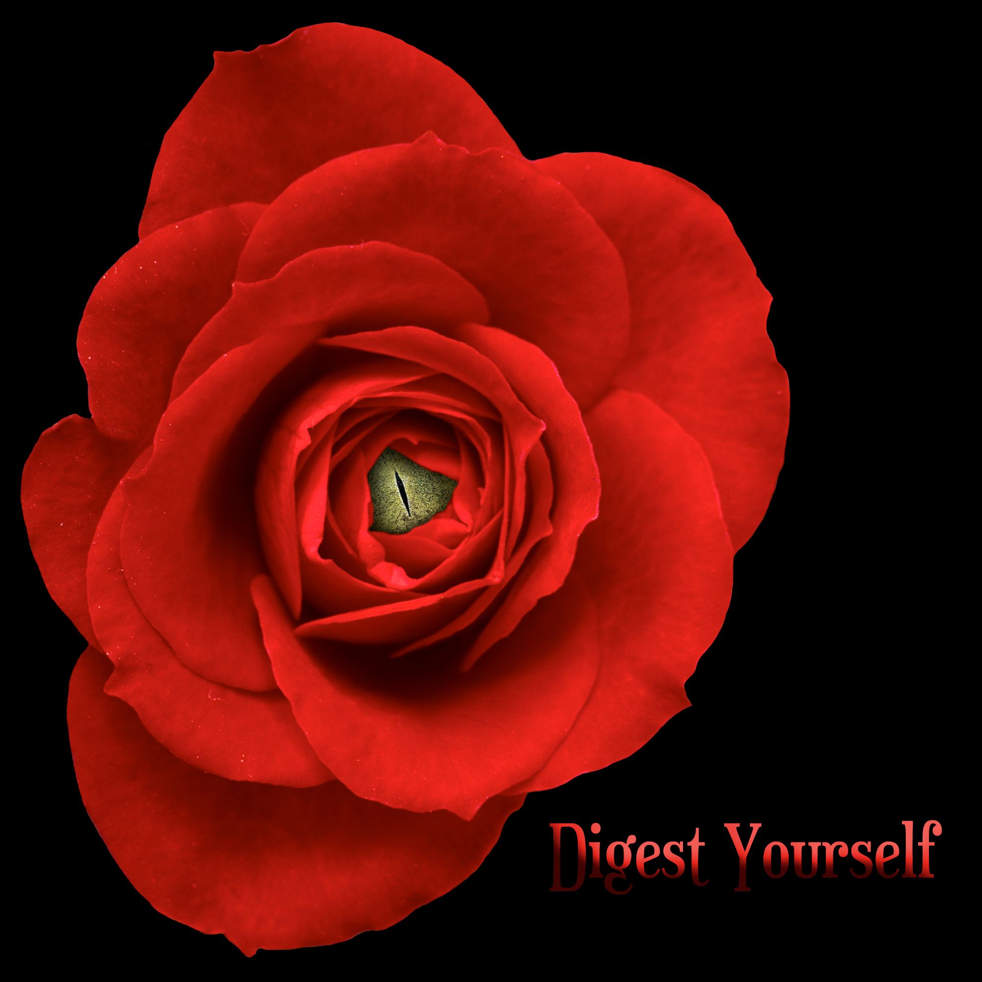 rose eye Digest Yourself.jpg