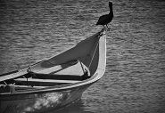 IMG_6440 (2) - copia.JPG