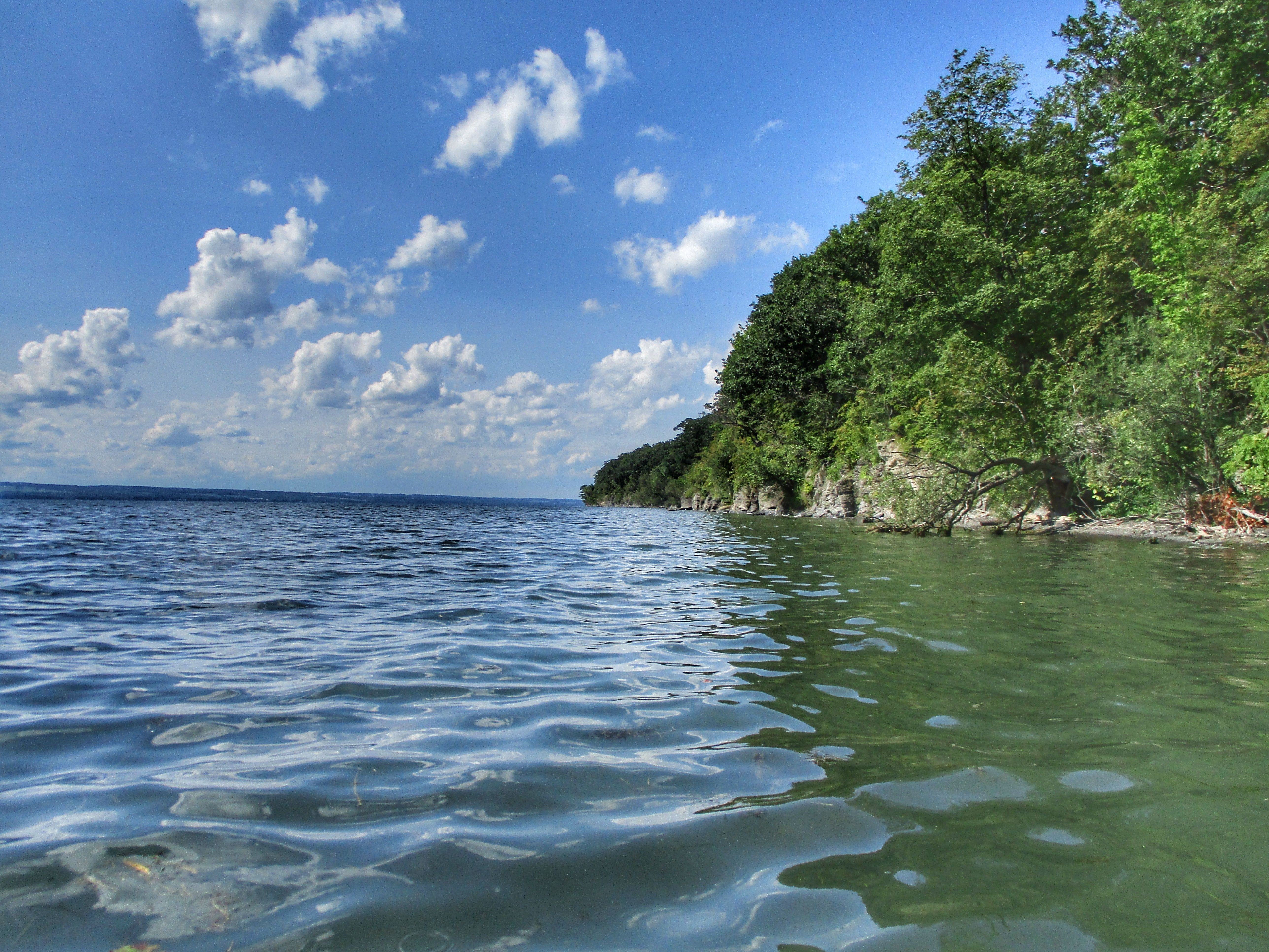 pedal boating2.jpeg