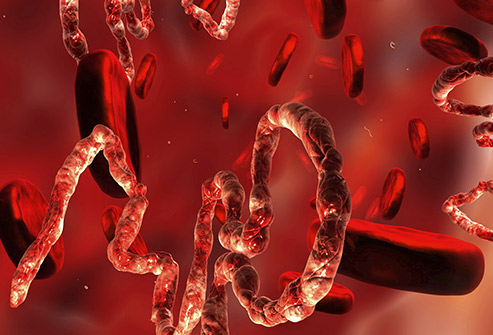 thinkstock_rf_illustration_of_ebola_virus.jpg