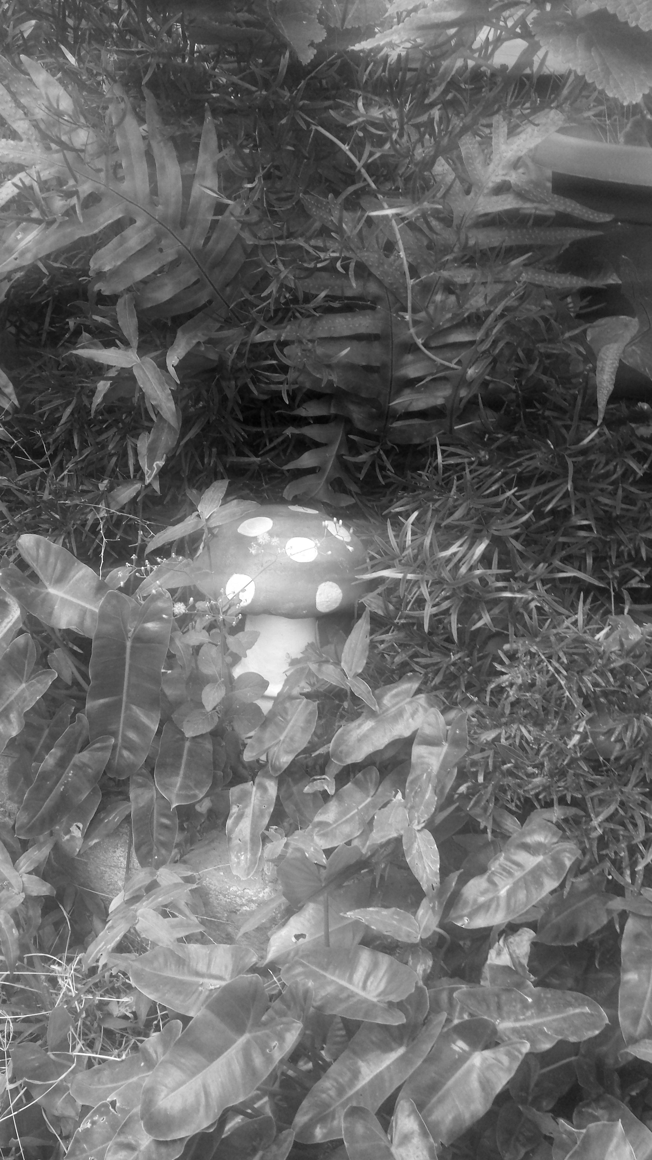 20180503_080700 mo.jpg