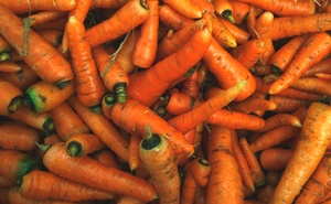 carrots.jpg