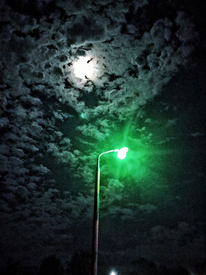 “I am not the same having seen the moon shine on the other side of the world.” ― Mary Anne Radmacher..jpg