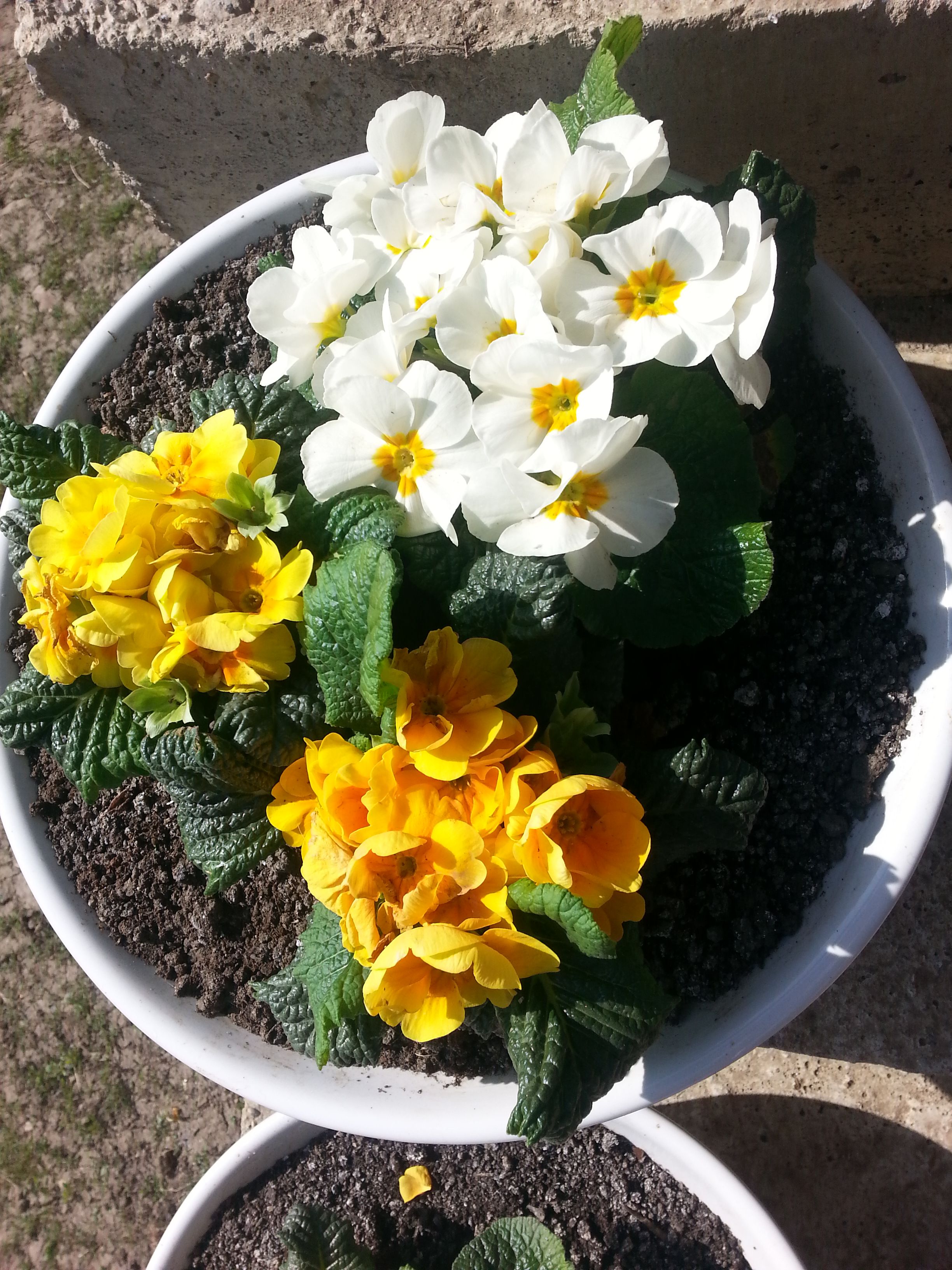 20180412_105039.jpg
