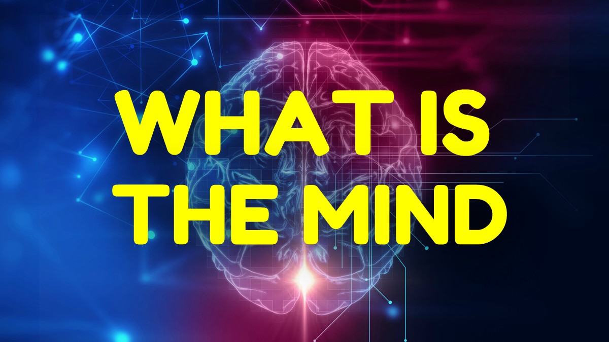 Is The Mind And The Brain The Same Thing? 💭 — Steemit