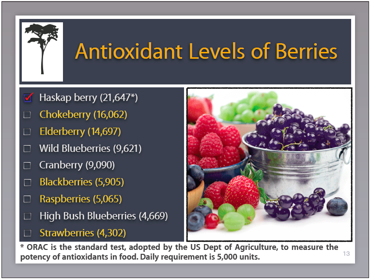 haskap berries antioxidants.png