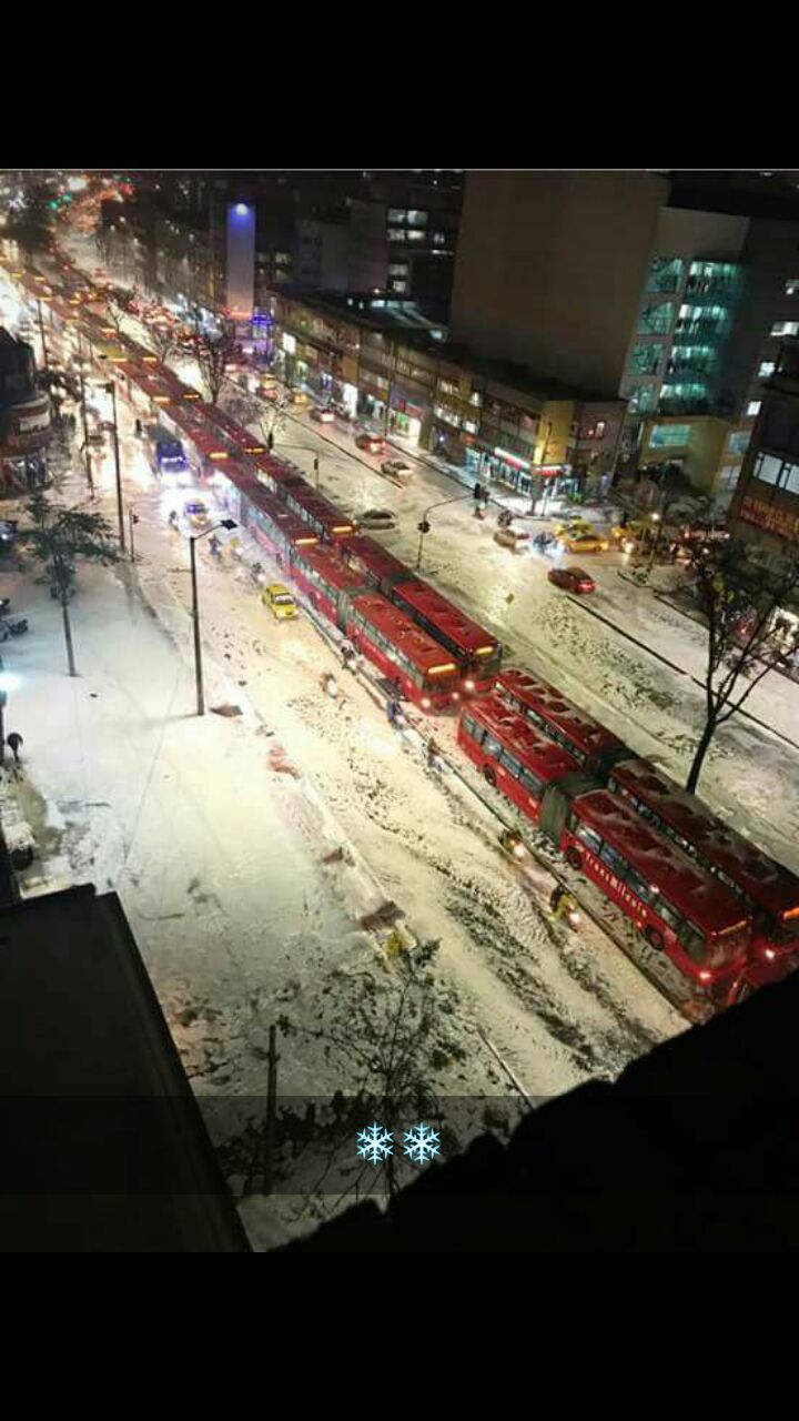 Acompanantes En Bogota