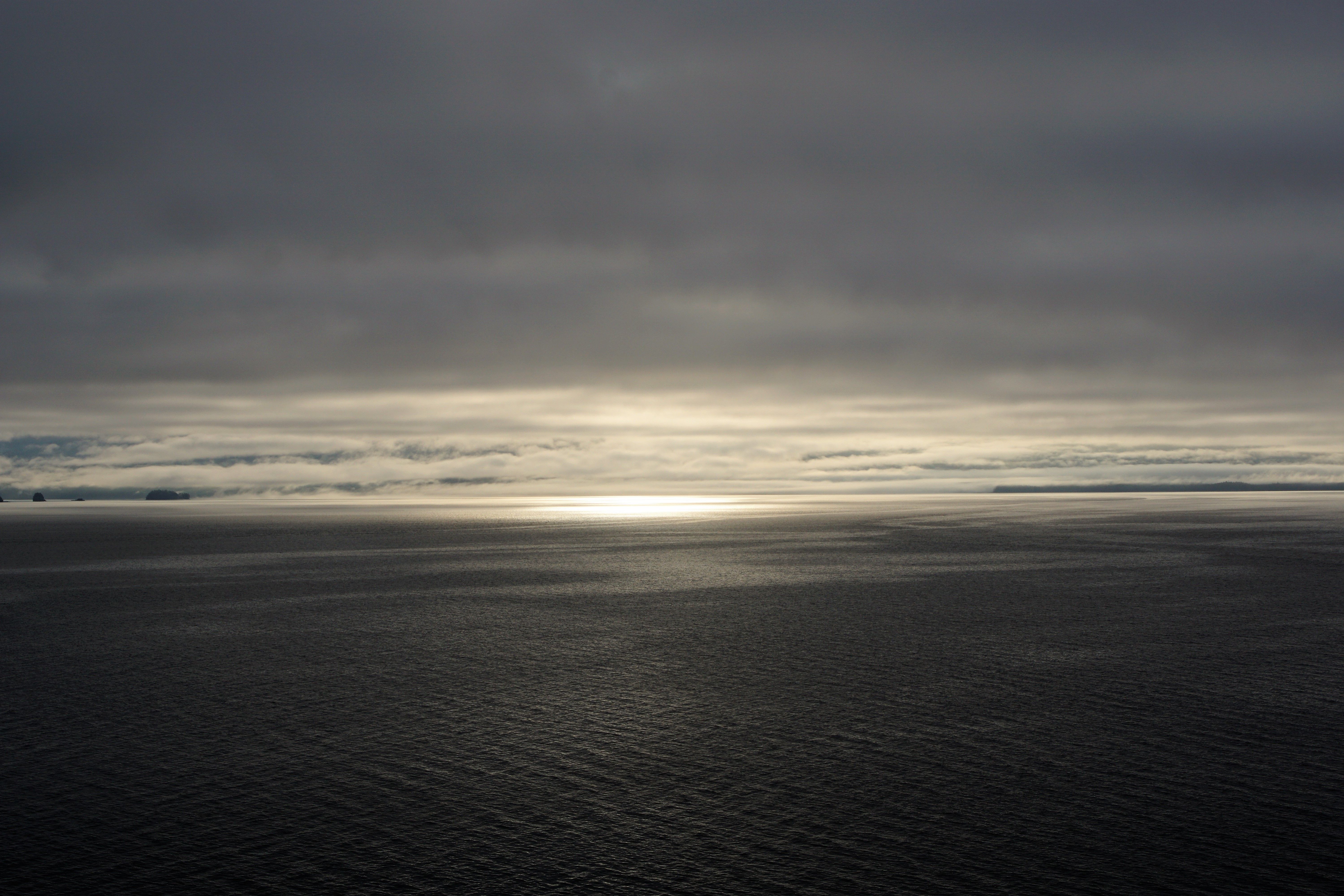DSC02973.jpg