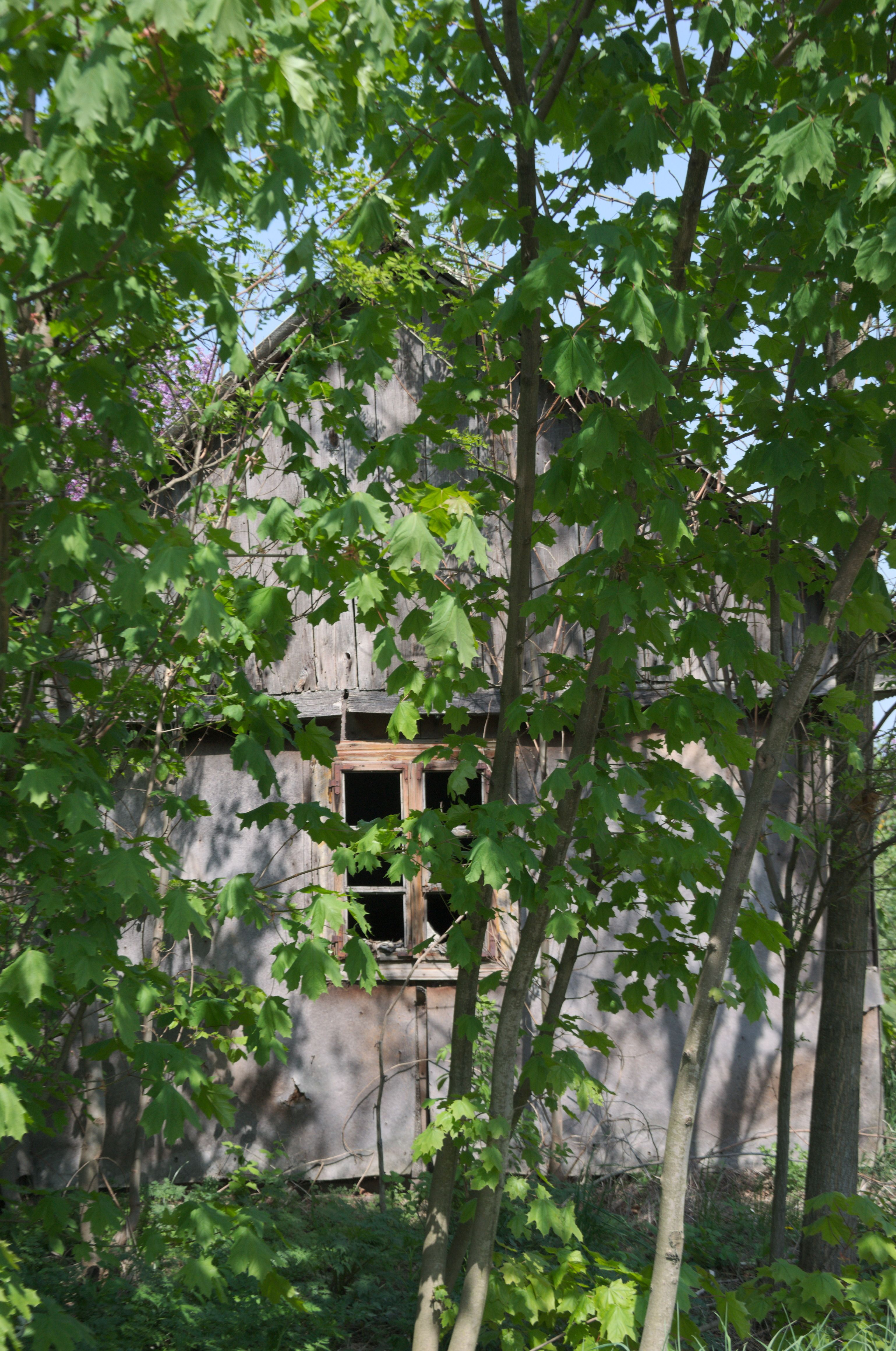 DSC_0288.jpg