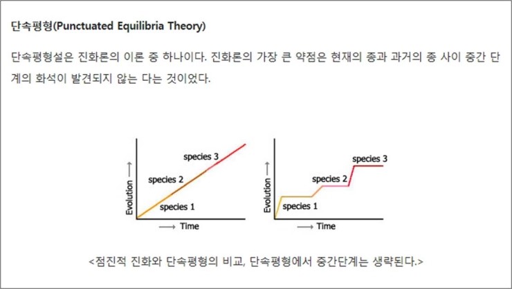 단속평형.jpg