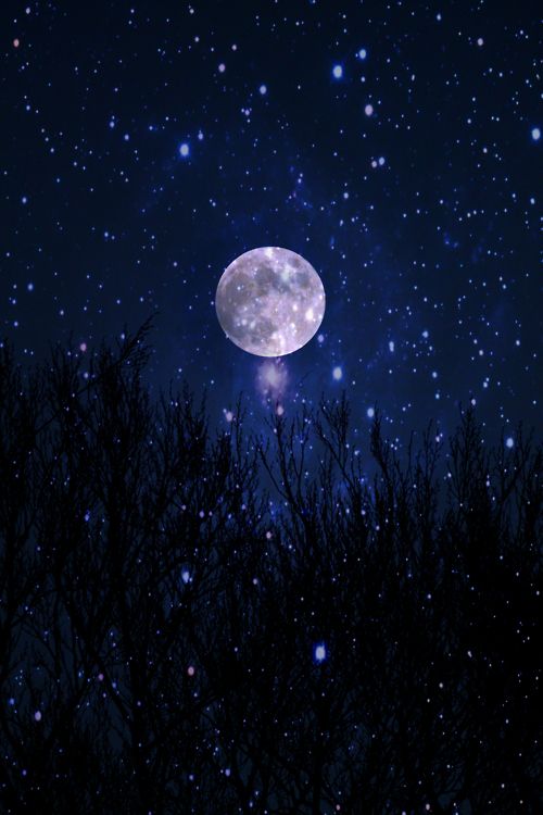 bd502e6331ddb544e112c40ca631d8ed--starry-night-sky-night-skies.jpg