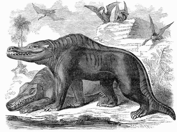 Megalosaurus.jpg