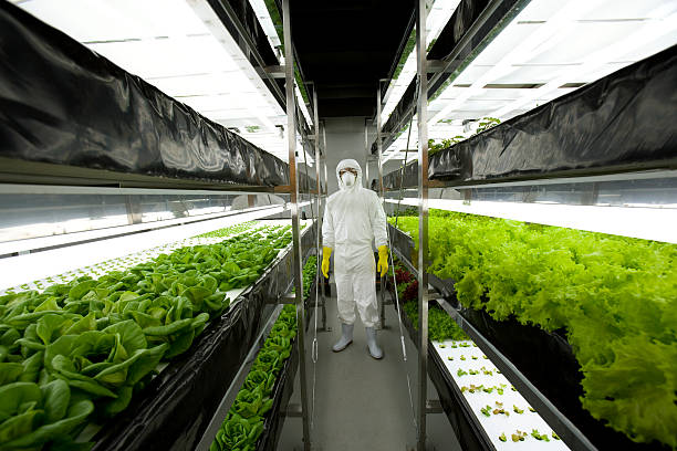 man-standing-in-greenhouse-picture-id200557680-002.jpg