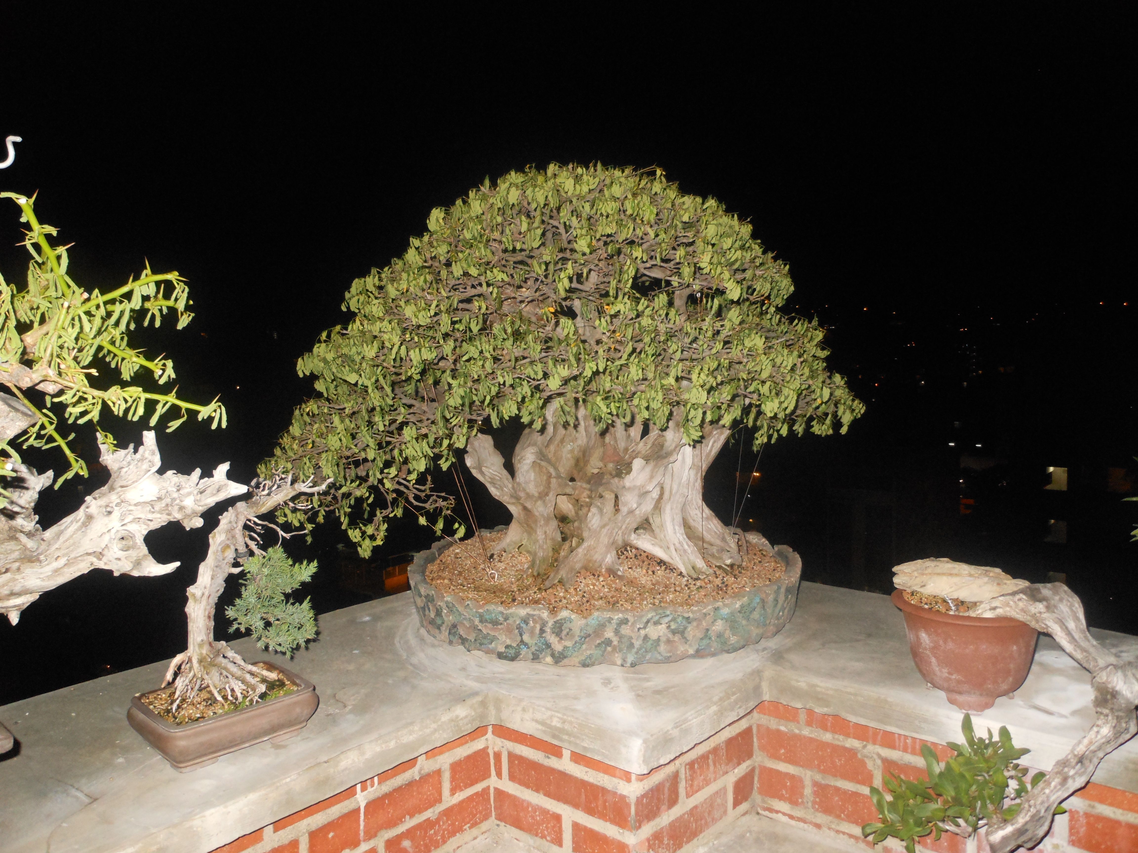 DSCN4143.JPG