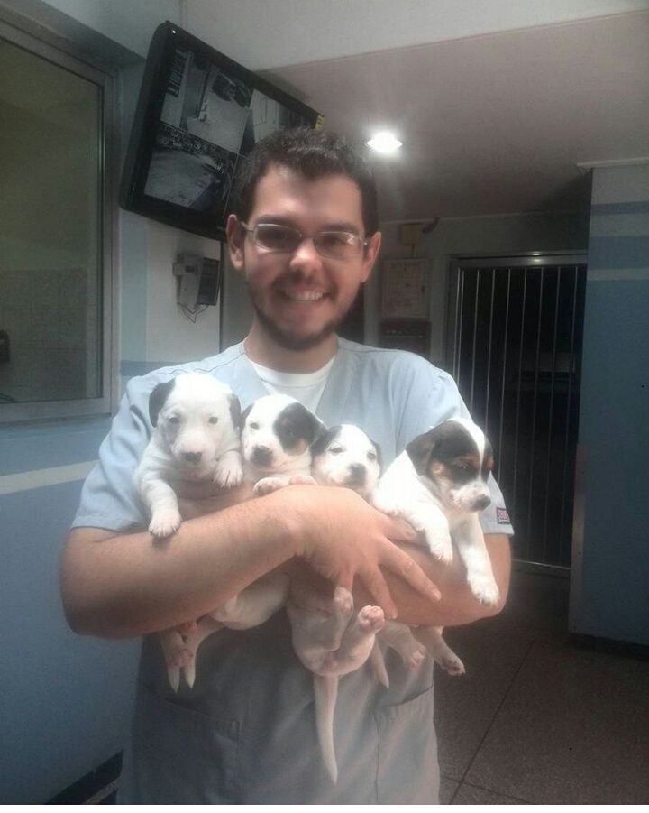 yo perritos.JPG