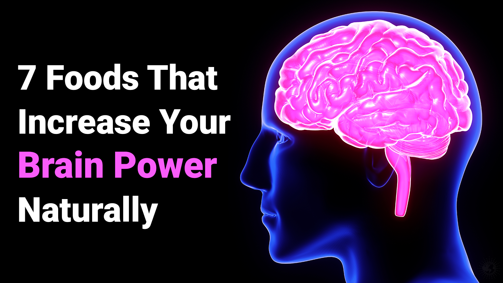 foods-that-increase-brain-power.png