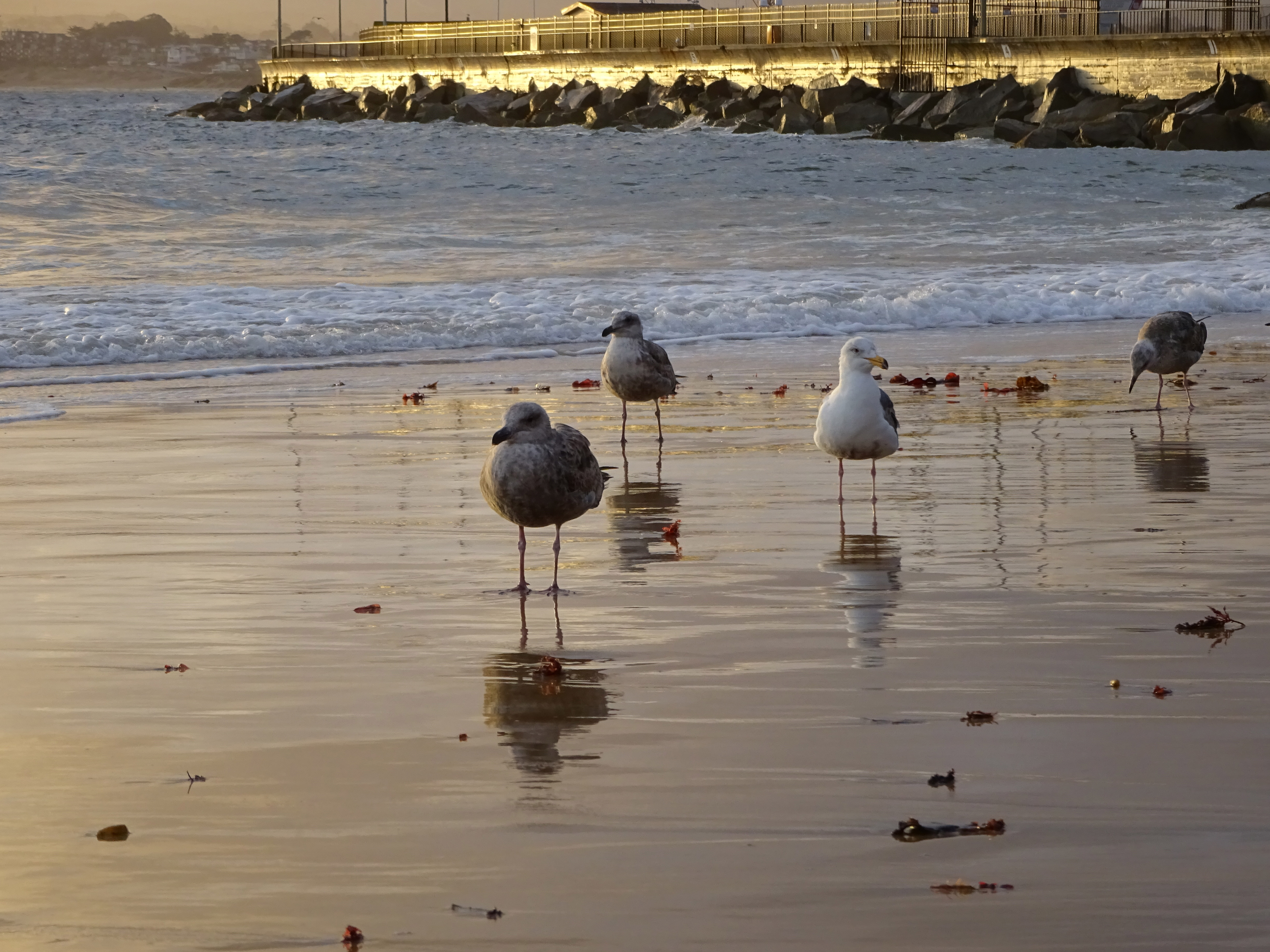 monterey-sunset-2.jpg