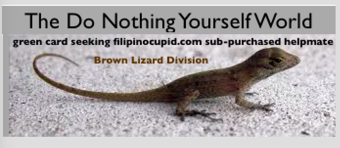 brown_lizard_division.png