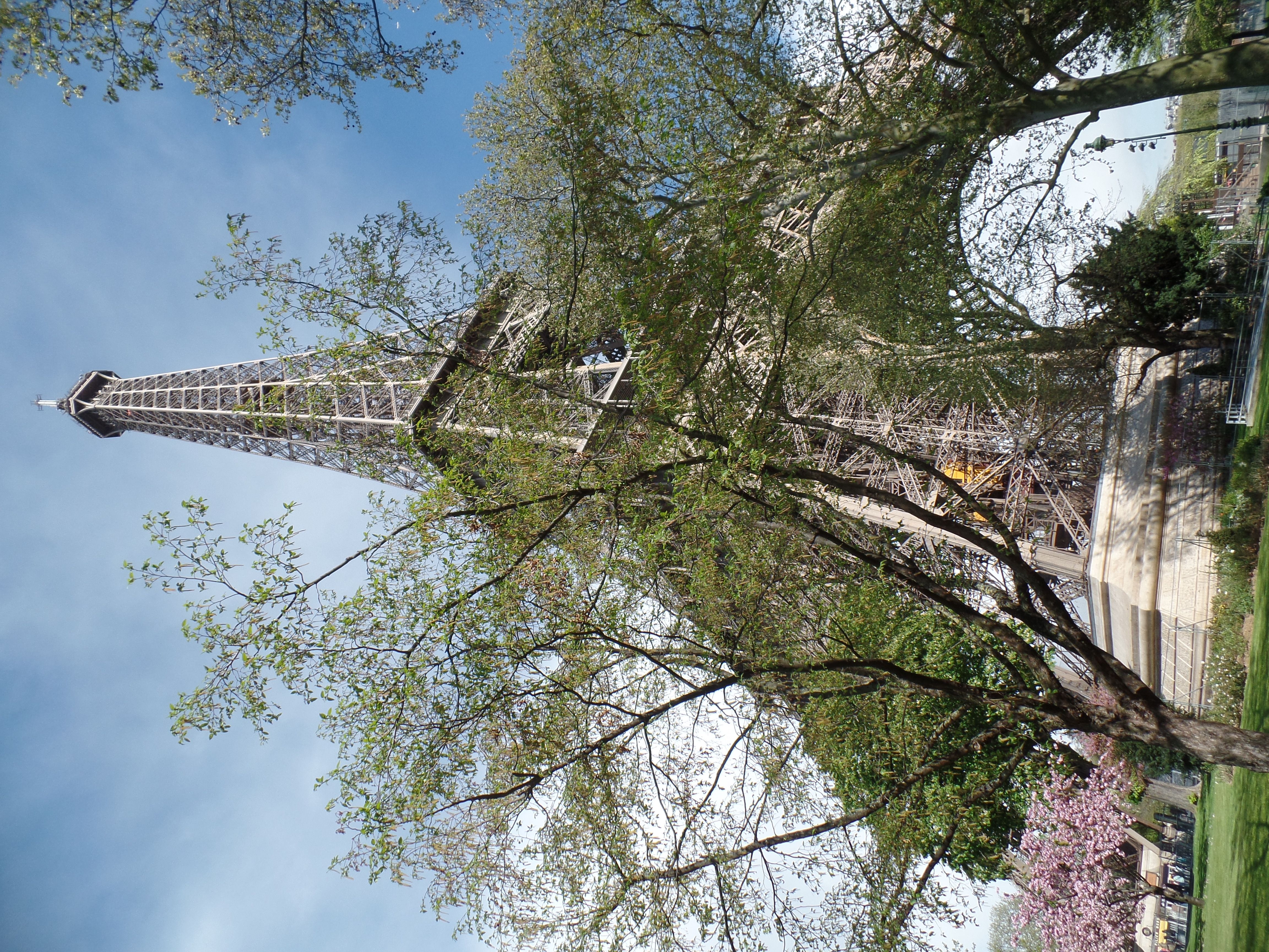 Wedding, Paris 4-16 668.jpg