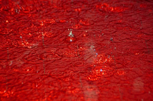 blood_rain.jpg