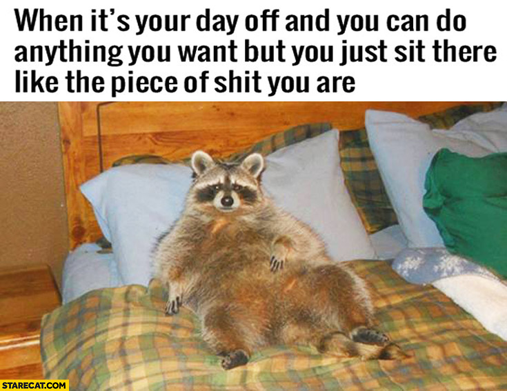 when-its-your-day-off-and-you-can-do-anything-you-want-but-you-just-sit-there-like-the-piece-of-shit-you-are-raccoon.jpg