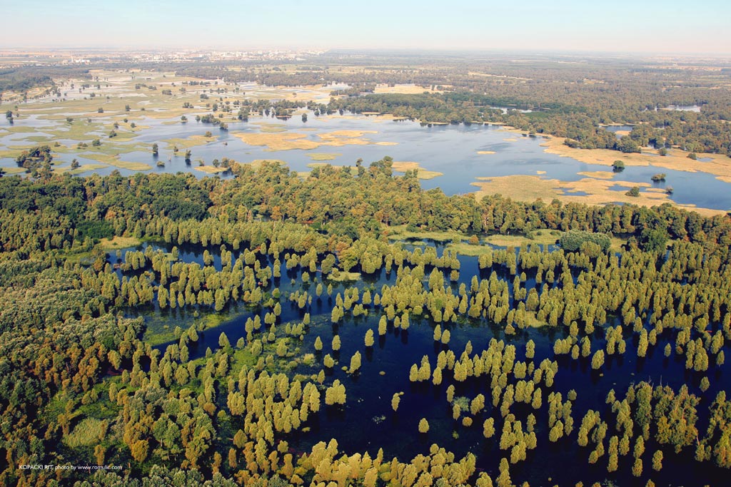 baranja-aerial-0049-kopacki-rit.jpg