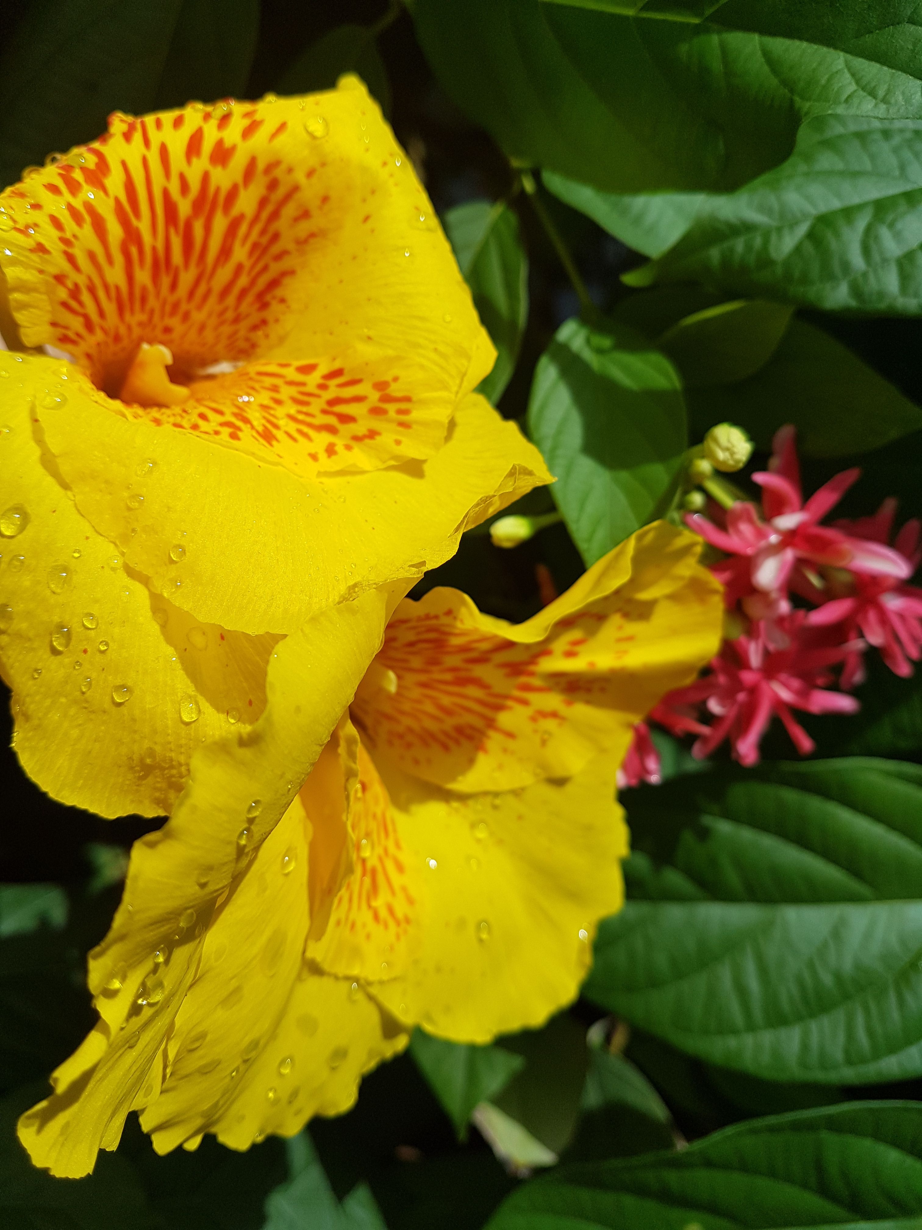 20171001_090925.jpg