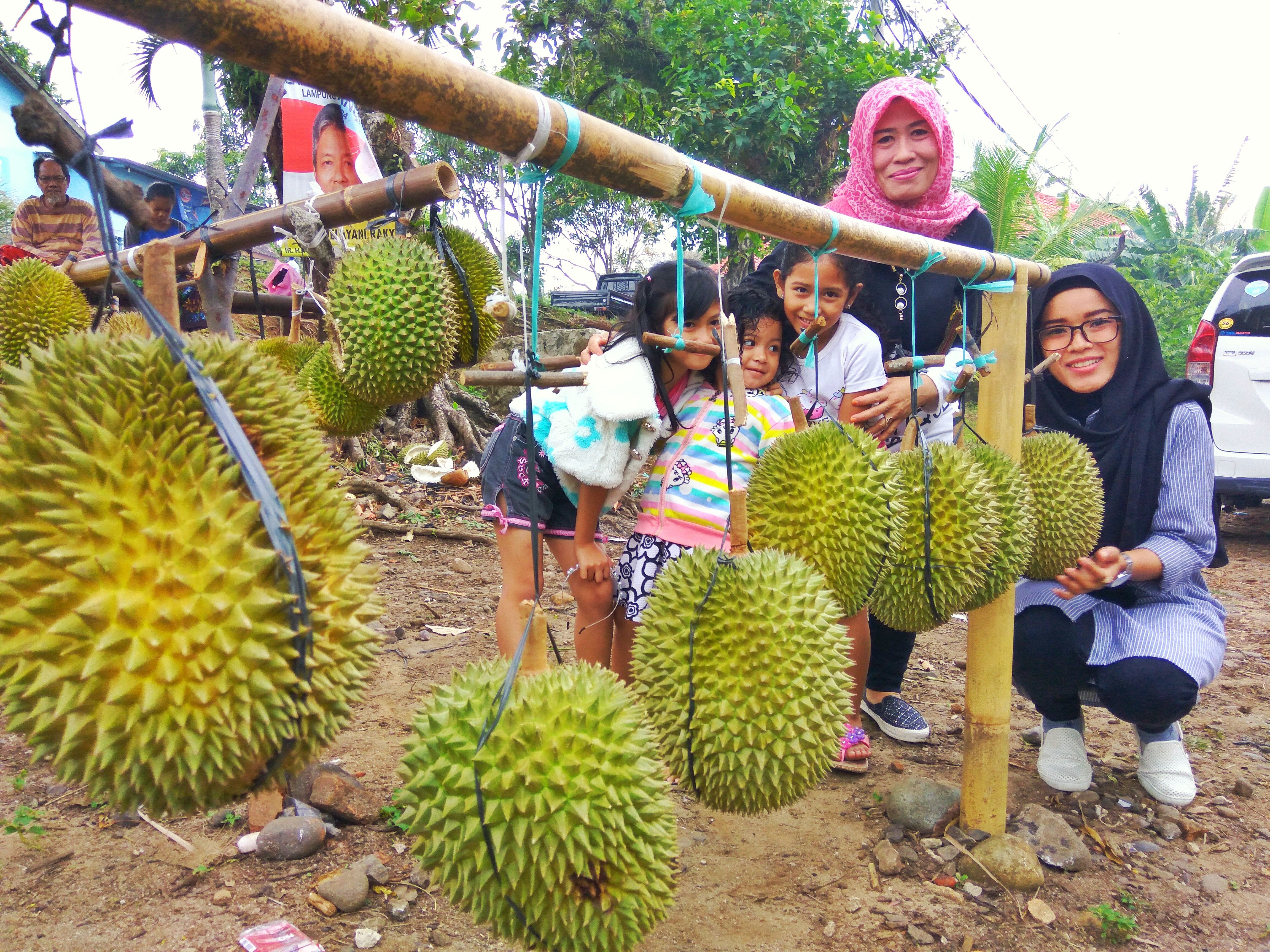 Download 920 Gambar Durian Lampung Terbaik HD