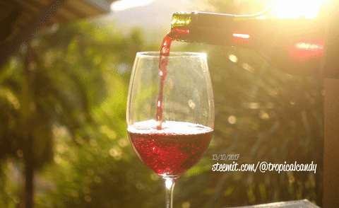 red-wine-loop-animated-steemit-tropicalcandy.gif