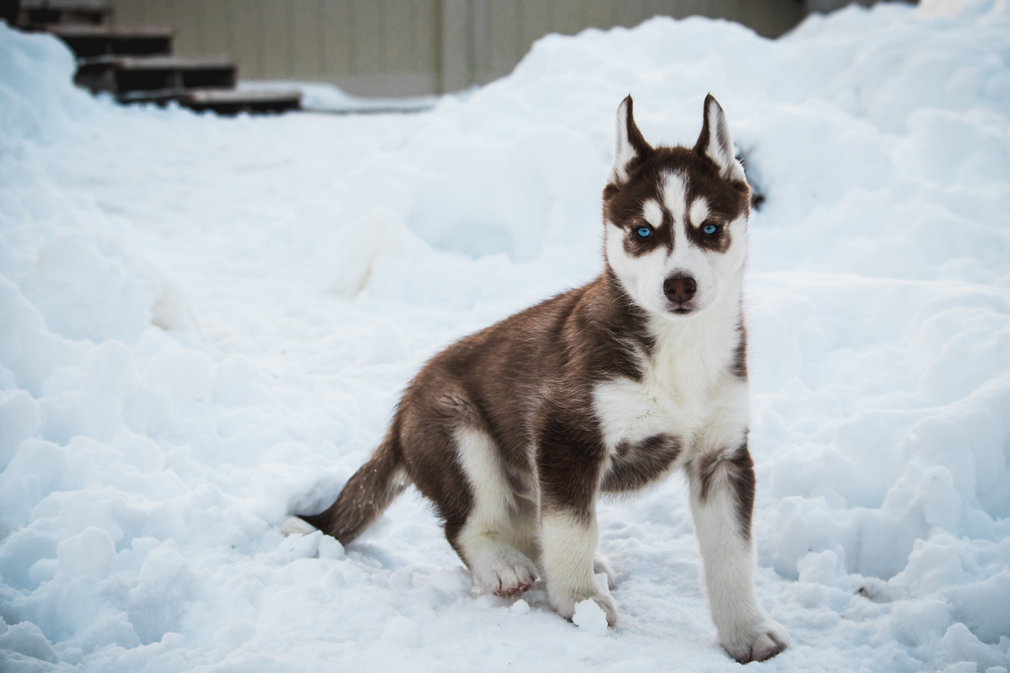 be sure to click on the image to view full screen