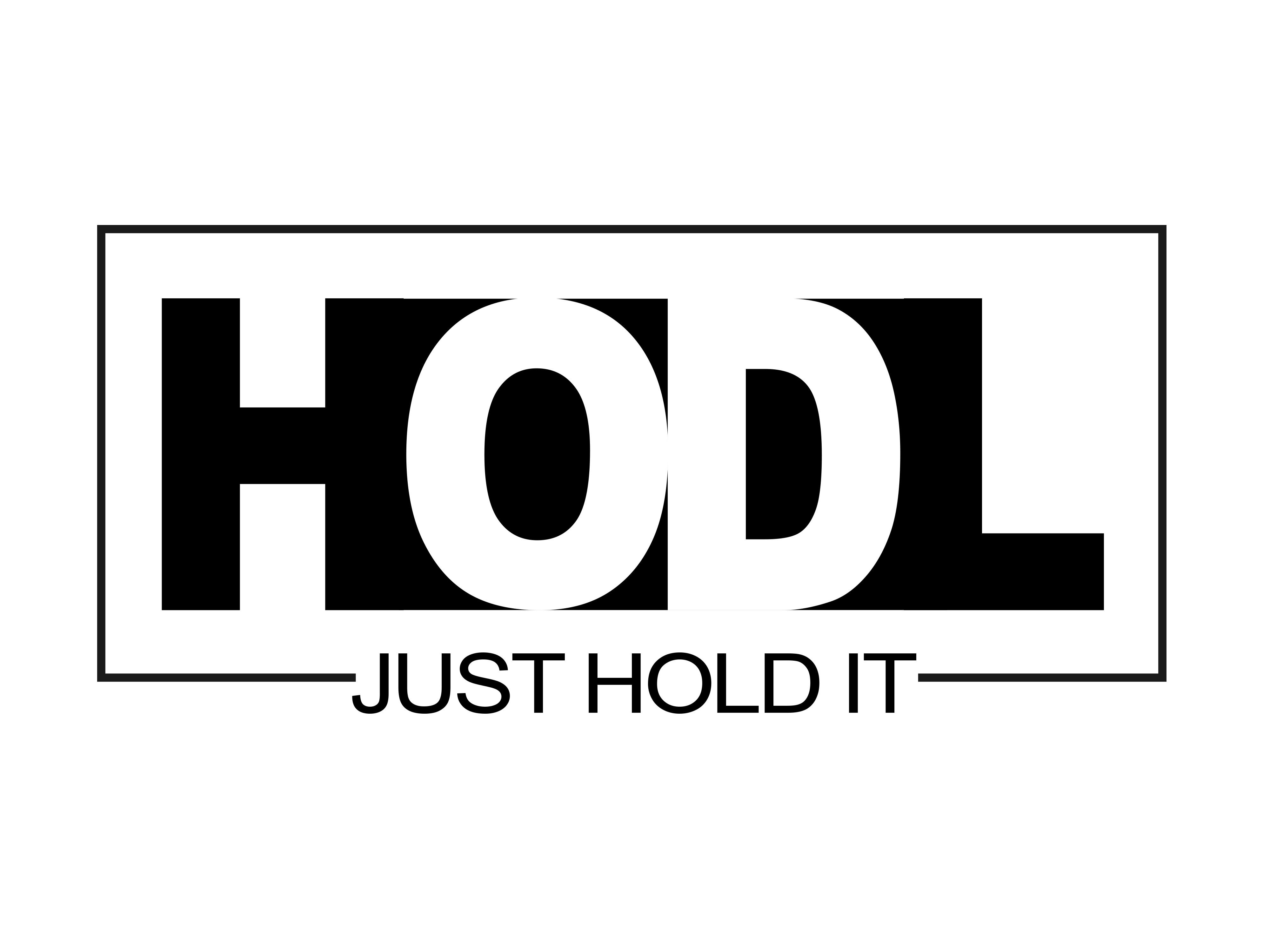 hodl it.png