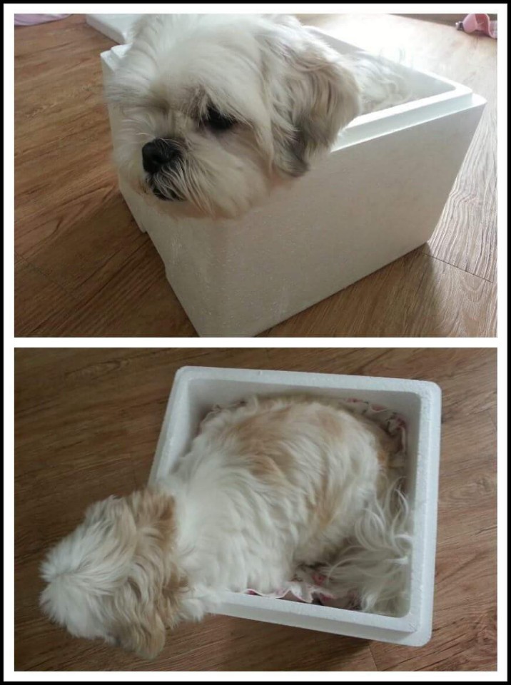 KakaoTalk_20170830_102758857.jpg