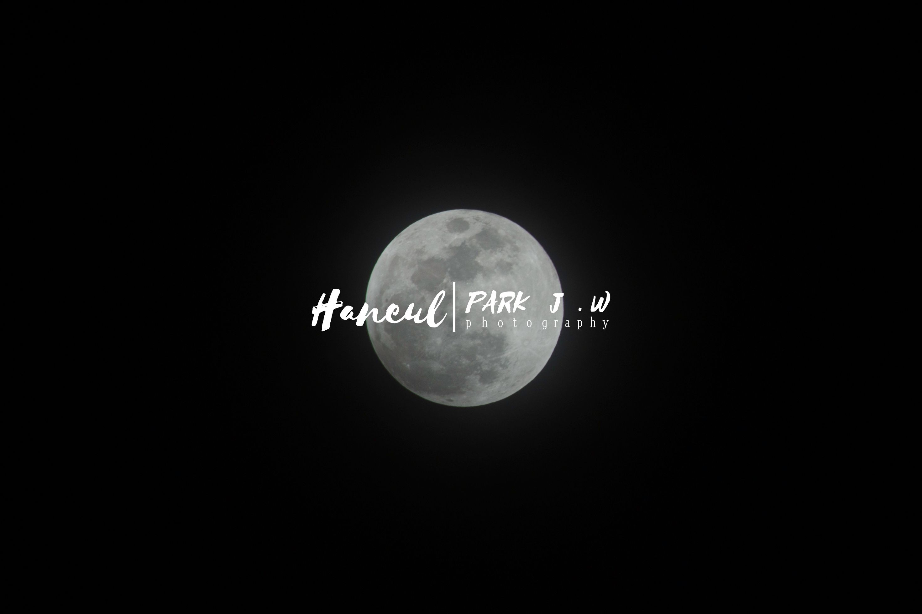 moon light-3.jpg