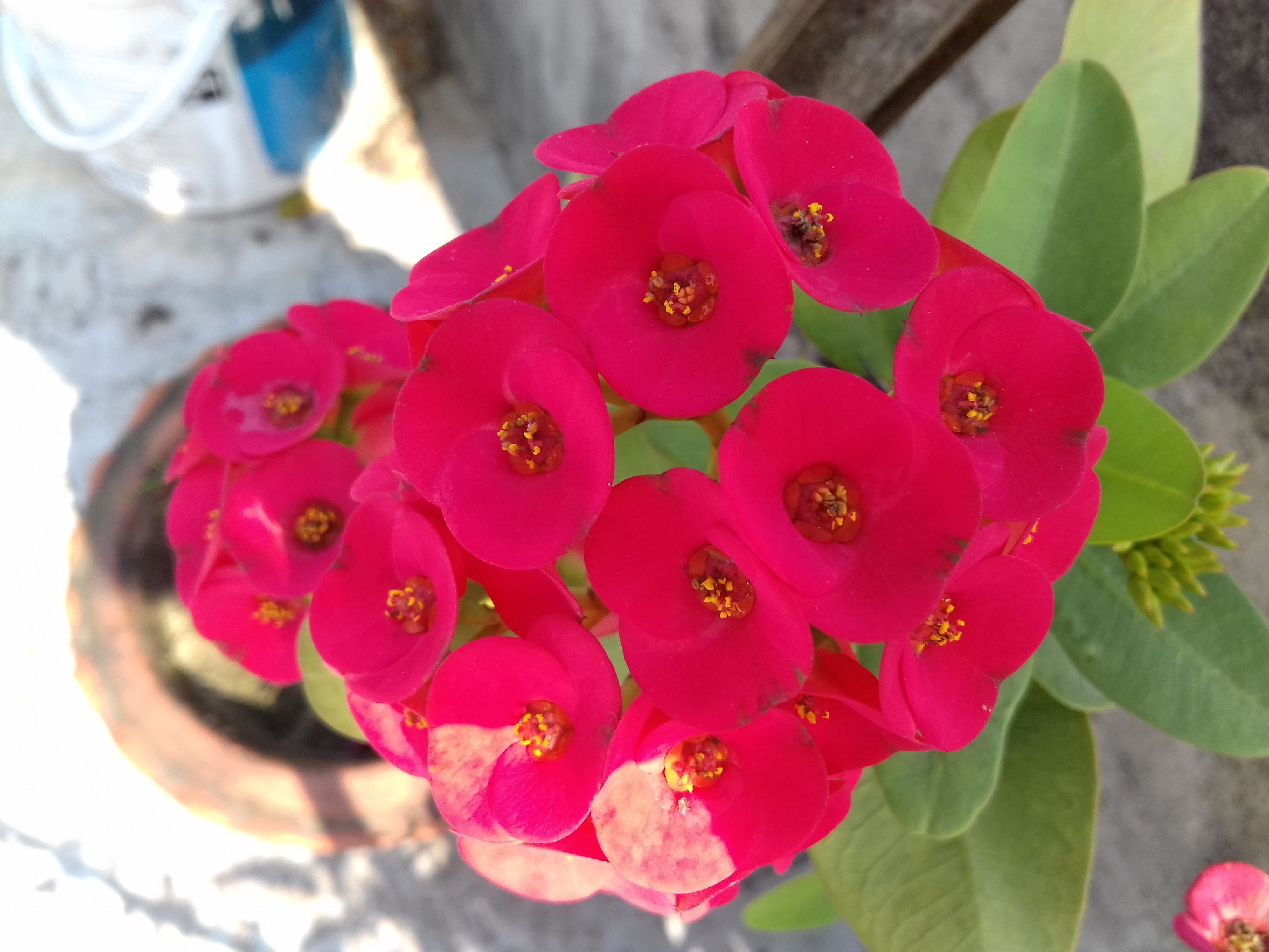 20171213_120322.jpg
