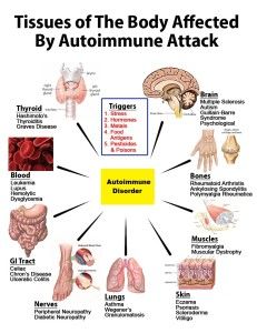 autoimmune_attack_graphic-edited-231x300.jpg