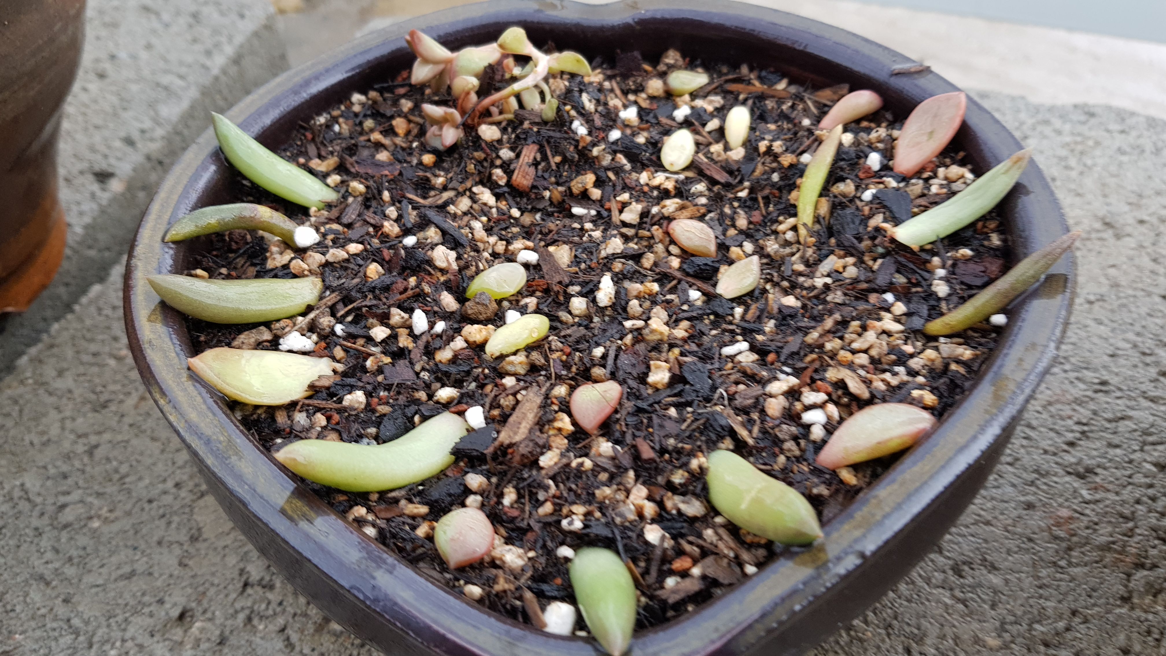 20180414_100613.jpg